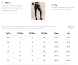 Let's Move High Rise Legging 25 Leopard